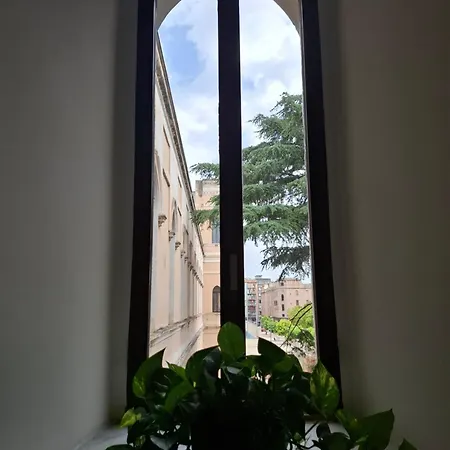 Lupi E Agnelli * Bari